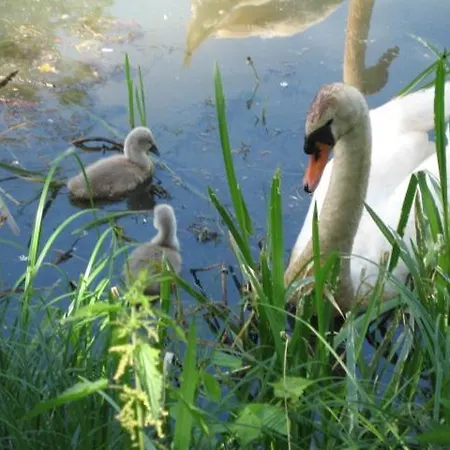 In Der Altstadt Von Anhalt Gaestezimmer Homestay szállás