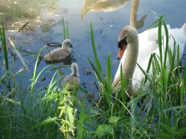 In Der Altstadt Von Anhalt Gaestezimmer Homestay szállás